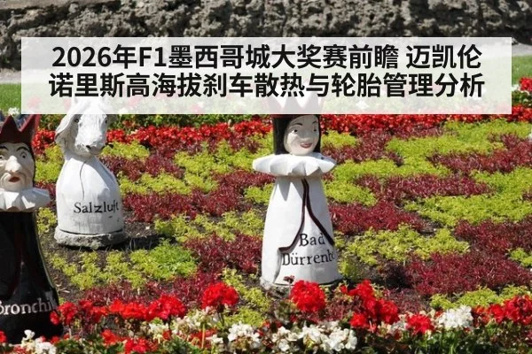 2026年F1墨西哥城大奖赛前瞻 迈凯伦诺里斯高海拔刹车散热与轮胎管理分析